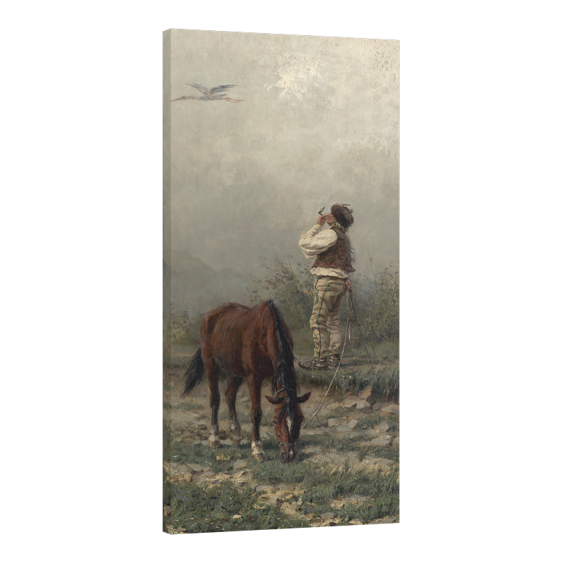 Щъркелът лети